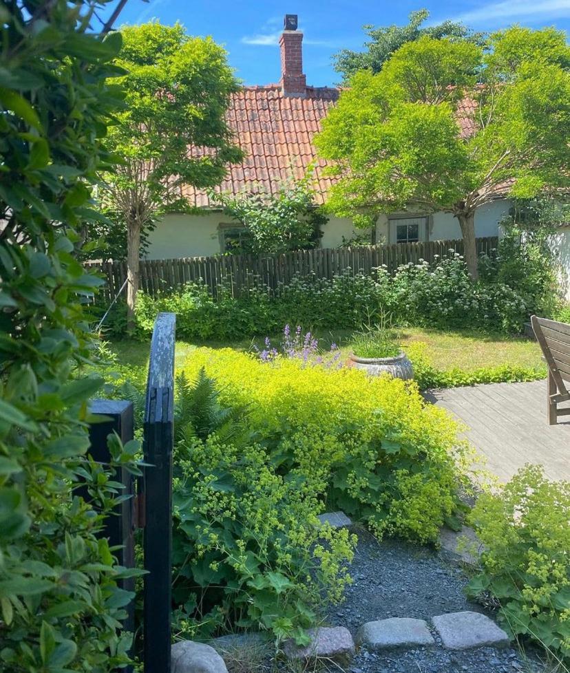 Botanikerns Hus Villa Loderup ภายนอก รูปภาพ